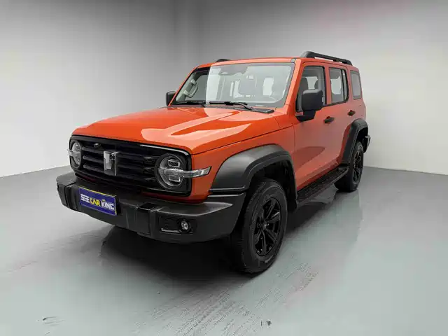2025 TANK 300