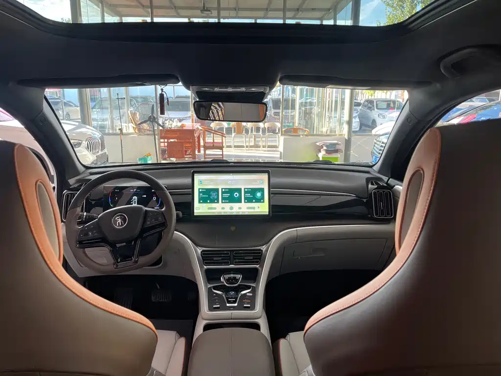 BYD Pro New Energy — миниатюра 6