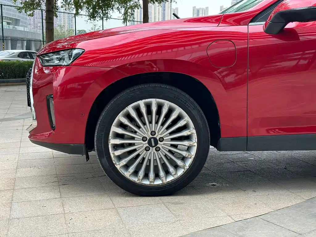 Wey Wey P8 — миниатюра 5