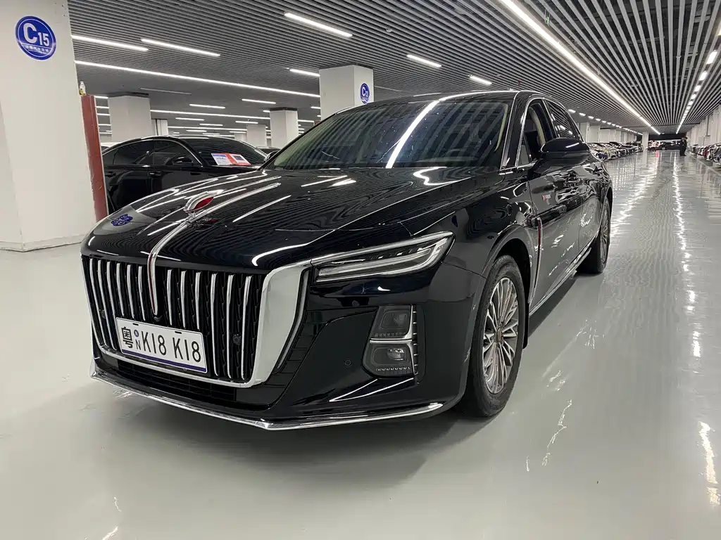 Hongqi Hongqi H5 2024