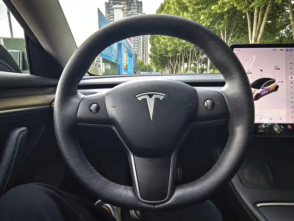 Tesla Model 3 — миниатюра 15