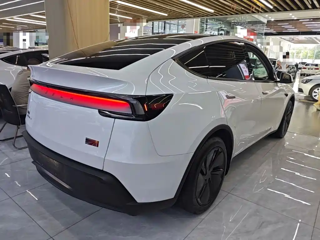 Tesla Model Y — миниатюра 7