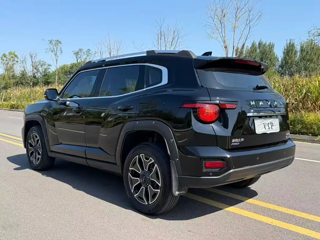 Haval Big Dog PLUS New Energy — миниатюра 9