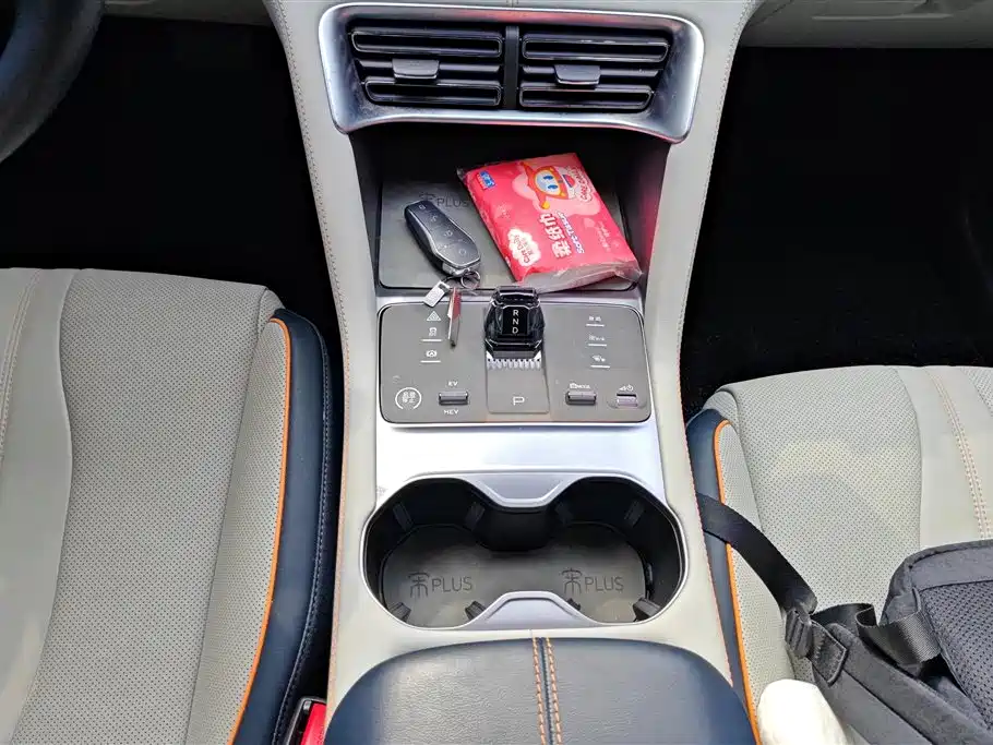 BYD SONGJIANG NEW ENERGY