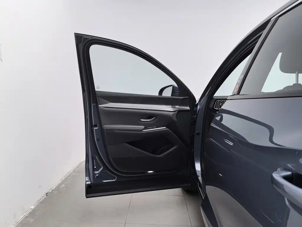 BYD Pro New Energy — миниатюра 8