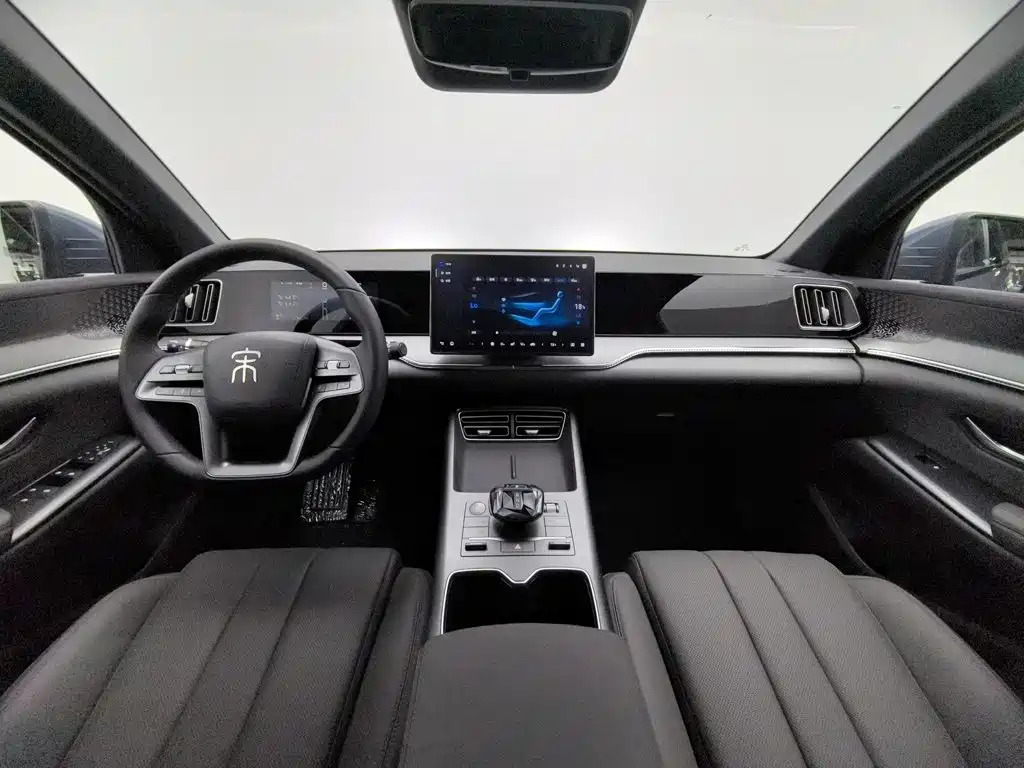 BYD Pro New Energy — миниатюра 5