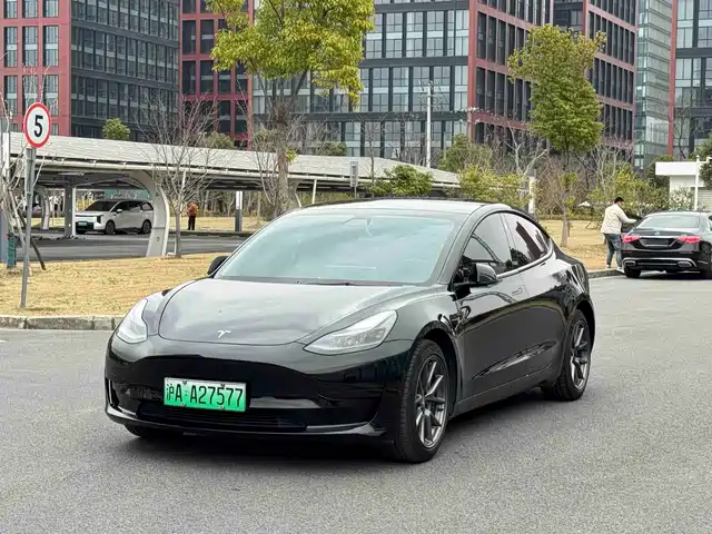 TESLA MODEL 3 2021