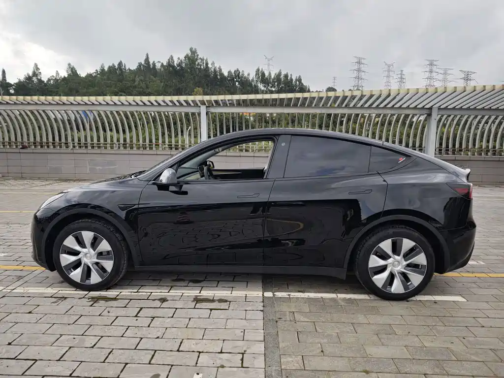 Tesla Model Y — миниатюра 8