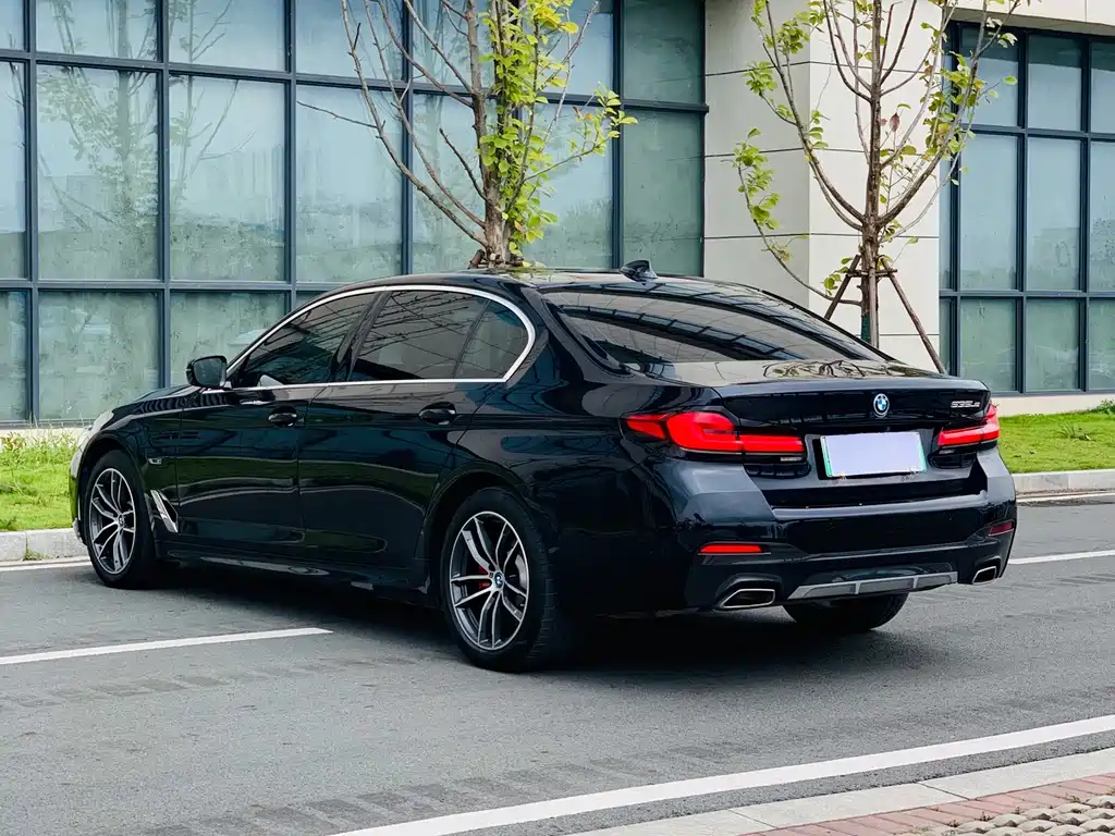 BMW 5 Series New Energy — миниатюра 9
