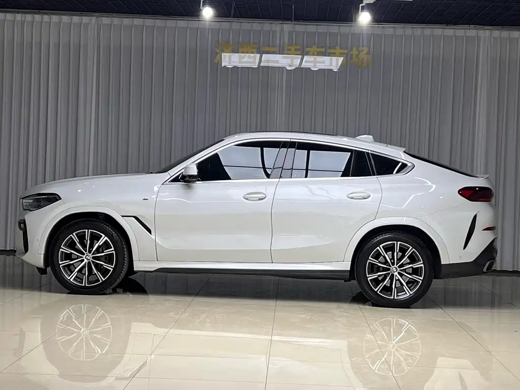 BMW X6 2020 xDrive40i M Sport