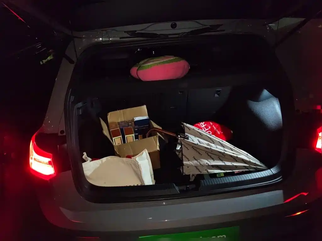 Volkswagen Golf — миниатюра 16