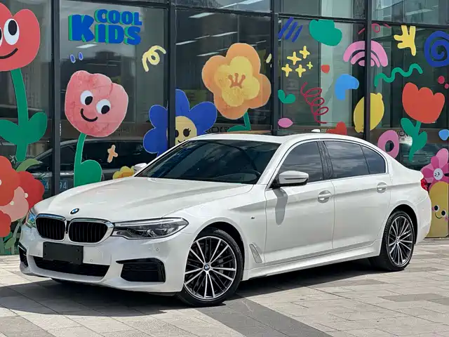 BMW 5 SERIES