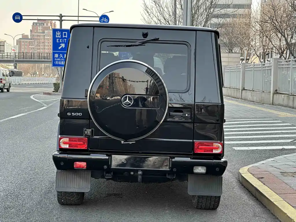 Mercedes-Benz G-Class G 2010 G 500