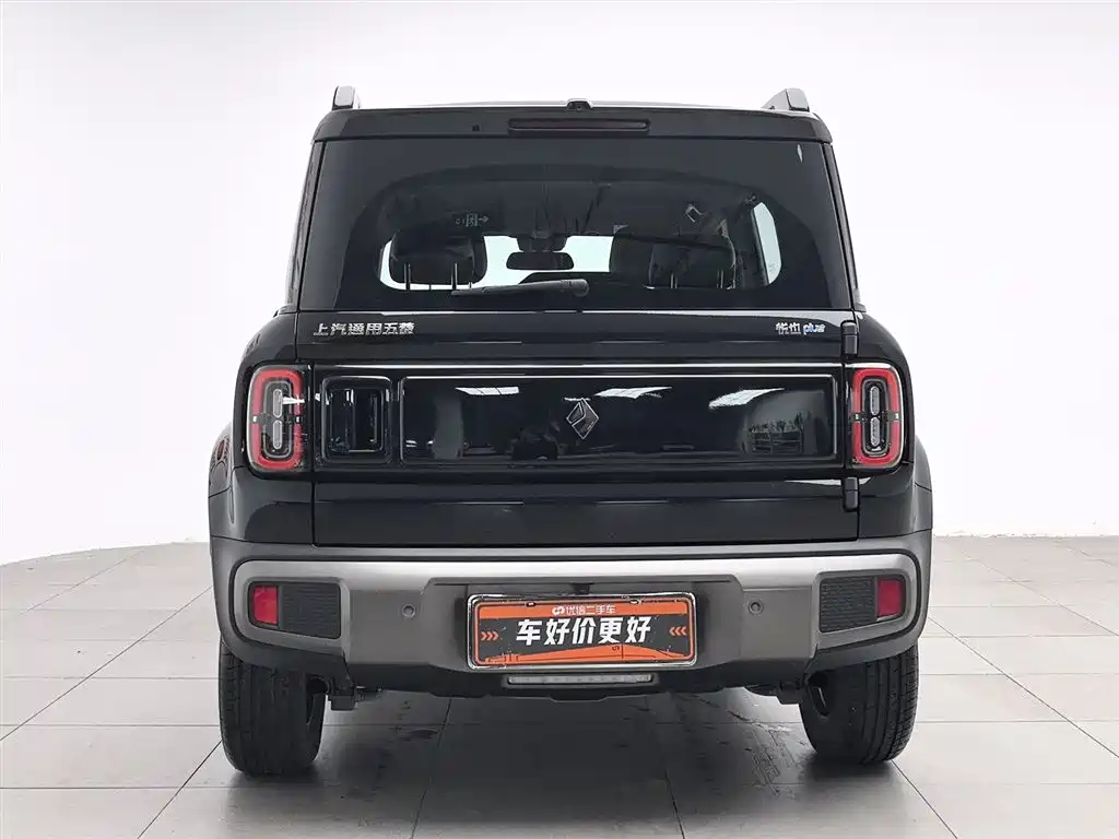 Baojun YepPlus Plus 2026 301km Flagship