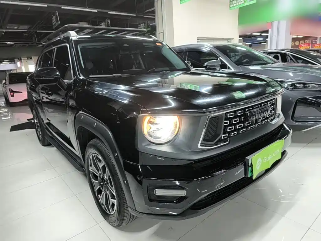 Haval Big Dog PLUS New Energy — миниатюра 4