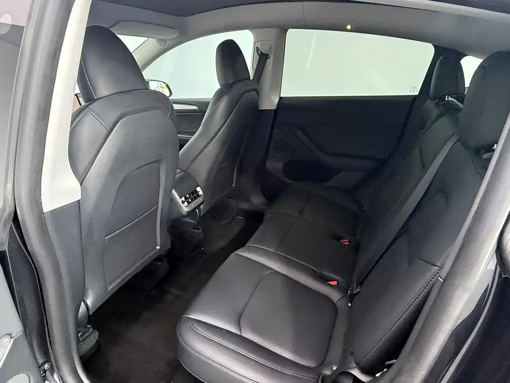 Tesla Model Y — миниатюра 10