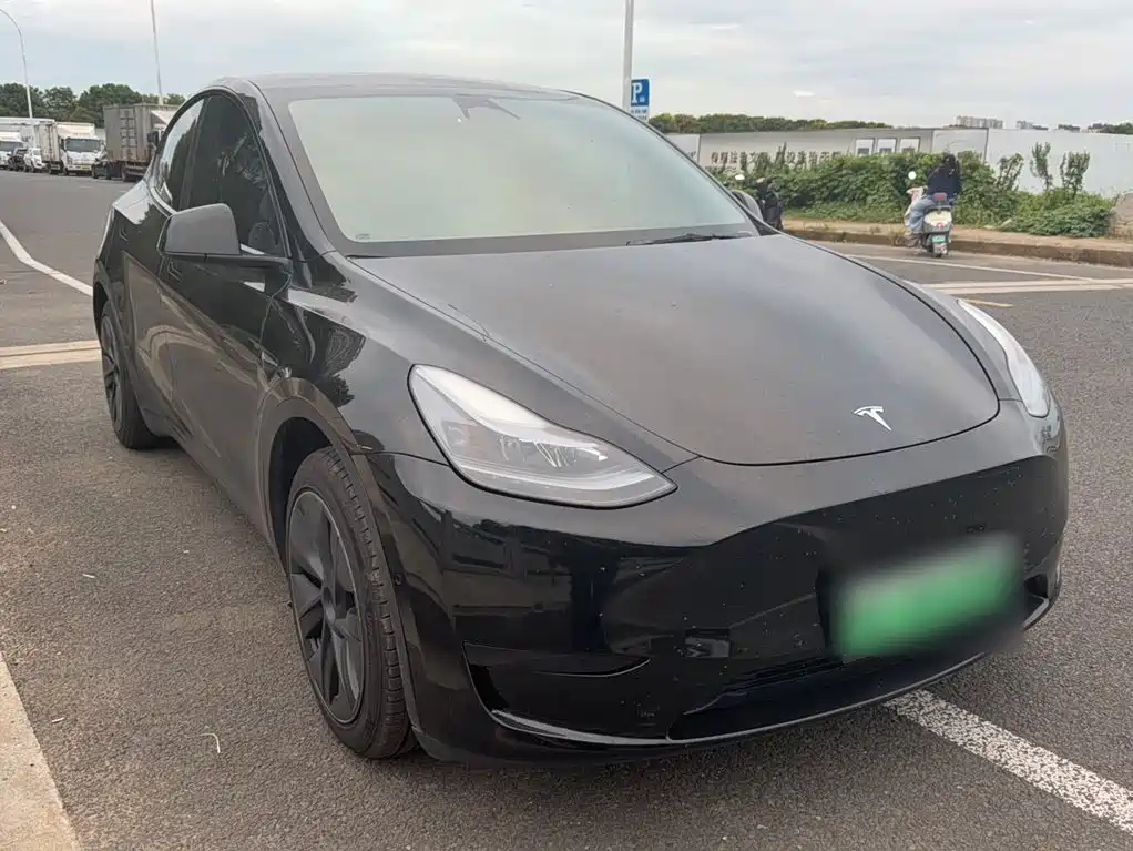 Tesla Model Y — миниатюра 15