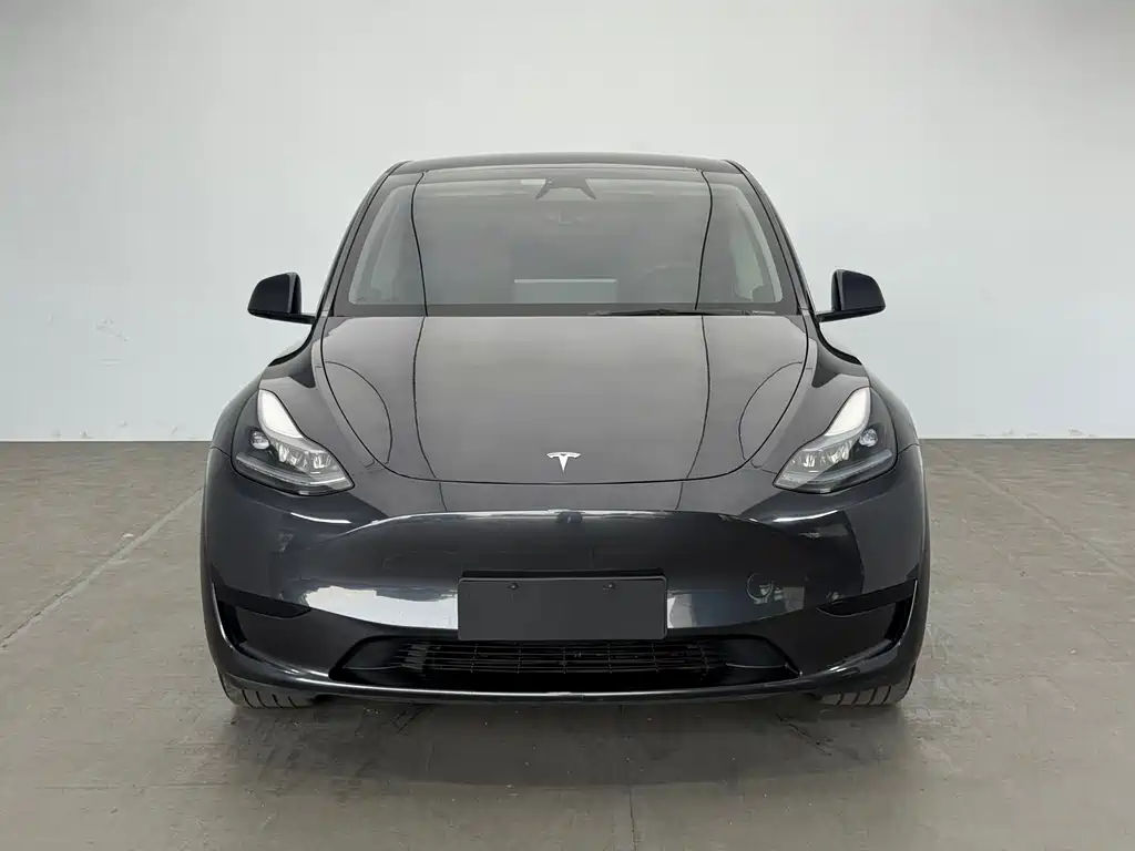 Tesla Model Y — миниатюра 2