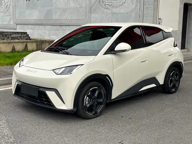 2023 BYD Seagull