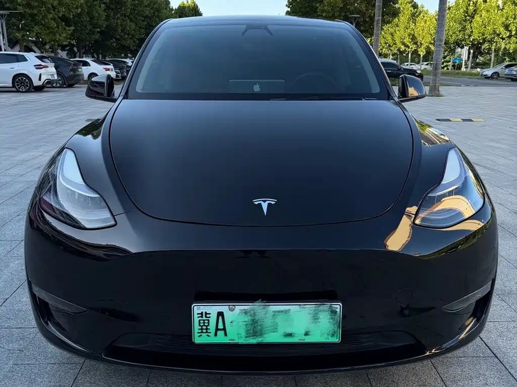 Tesla Model Y — миниатюра 2