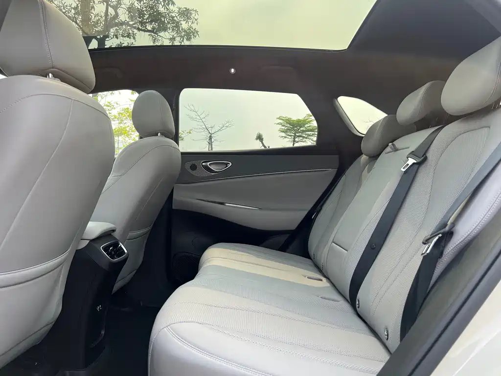 BYD SEA LION 06 NEW ENERGY