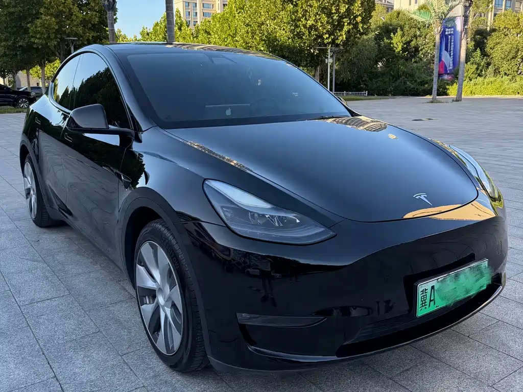 Tesla Model Y — миниатюра 7