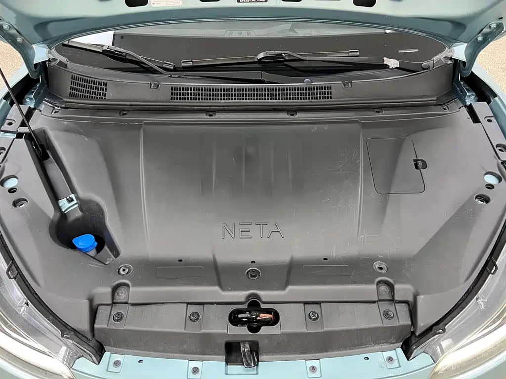 Neta Neta V — миниатюра 27