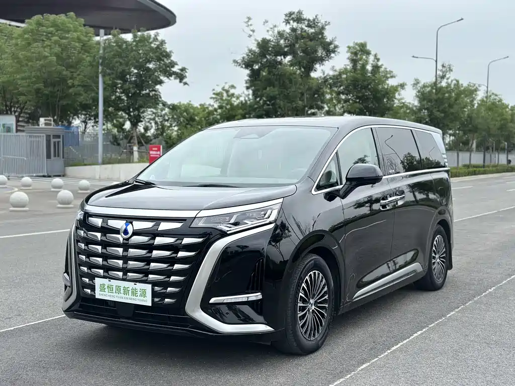 Denza D9