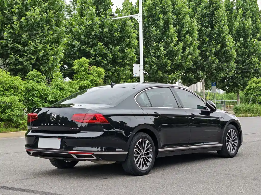 Volkswagen Magotan 2020 330TSI DSG Luxury