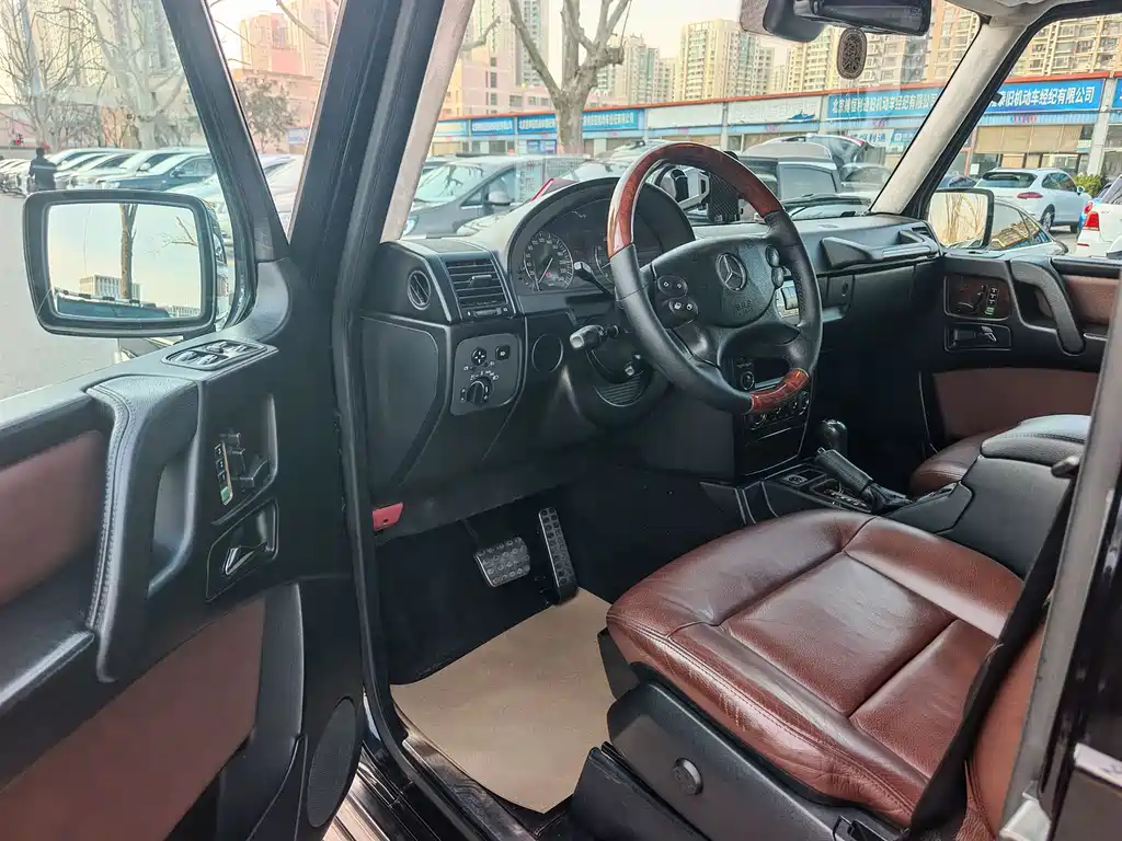 Mercedes-Benz G-Class G 2010 G 500