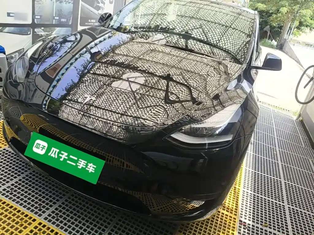 Tesla Model Y — миниатюра 2