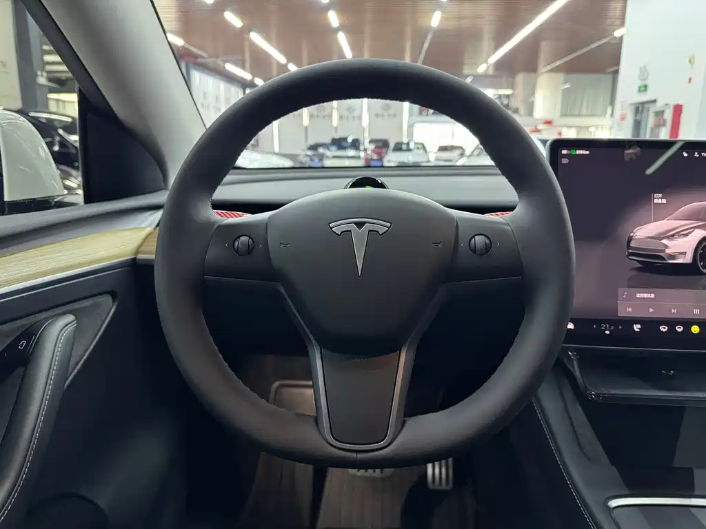 Tesla Model Y — миниатюра 14