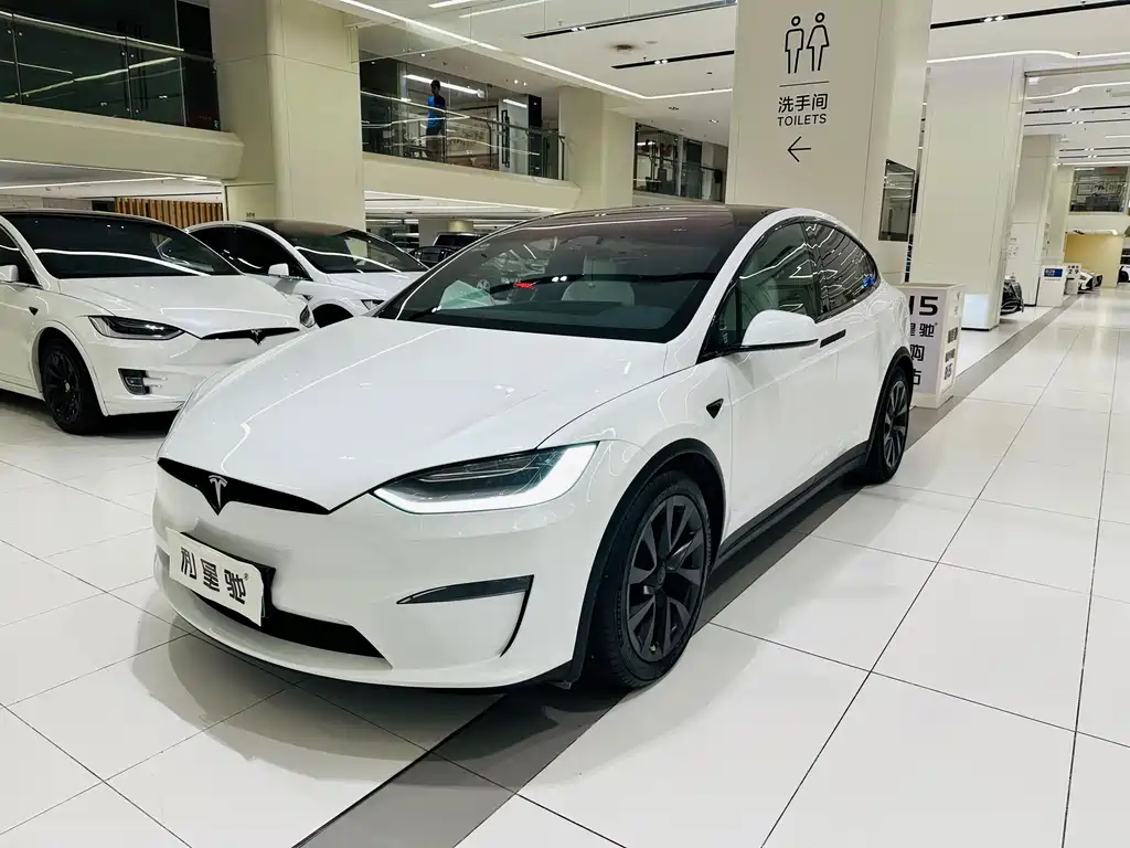 Tesla Model X — миниатюра 18