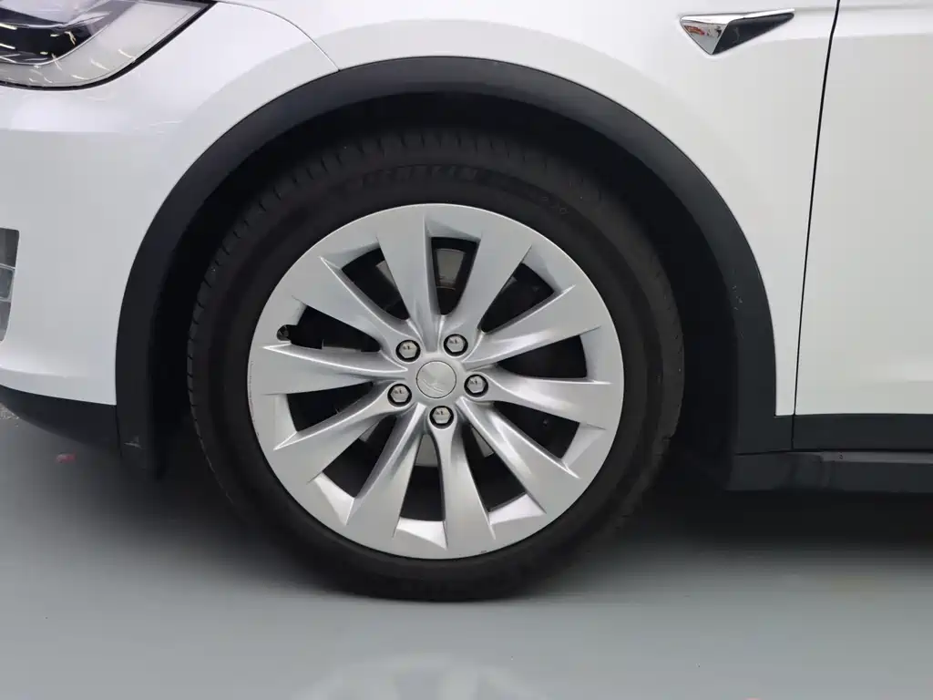 Tesla Model X — миниатюра 4
