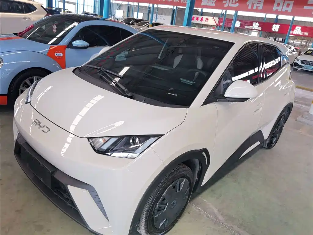Byd Seagull 2025