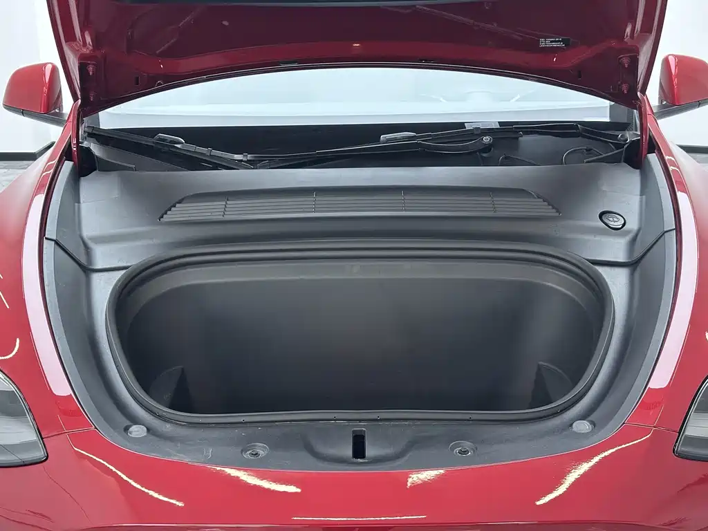Tesla Model Y — миниатюра 10