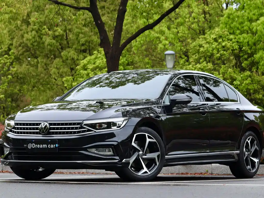 Volkswagen Magotan 2024
