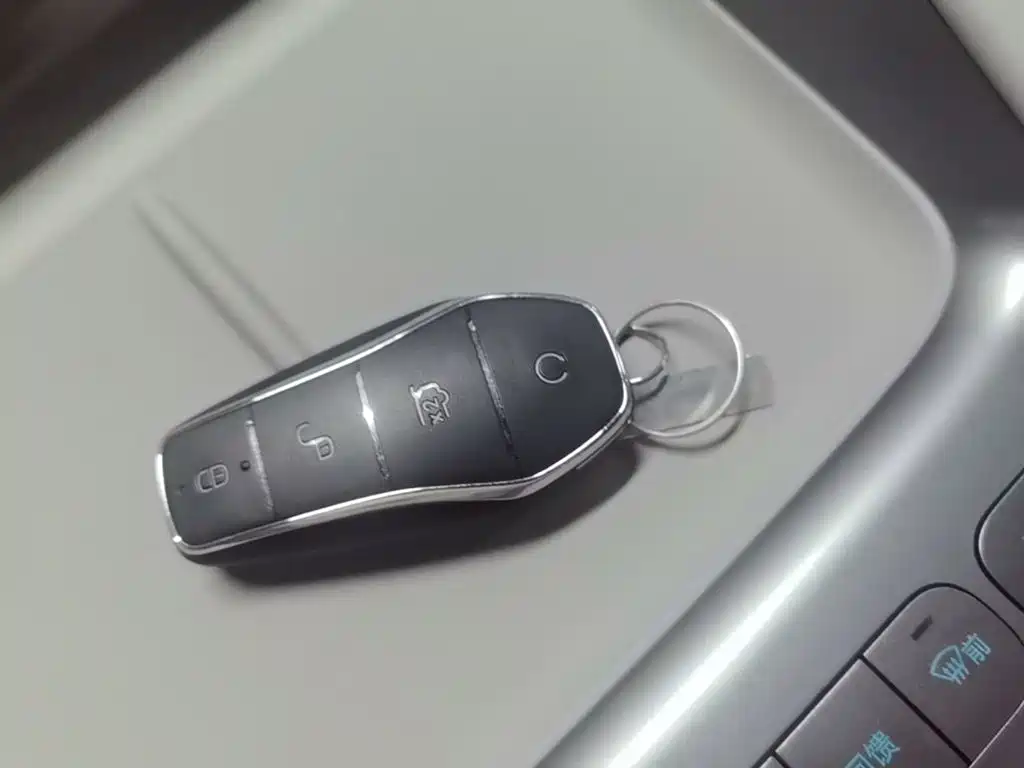 BYD Haisi 06 — миниатюра 9