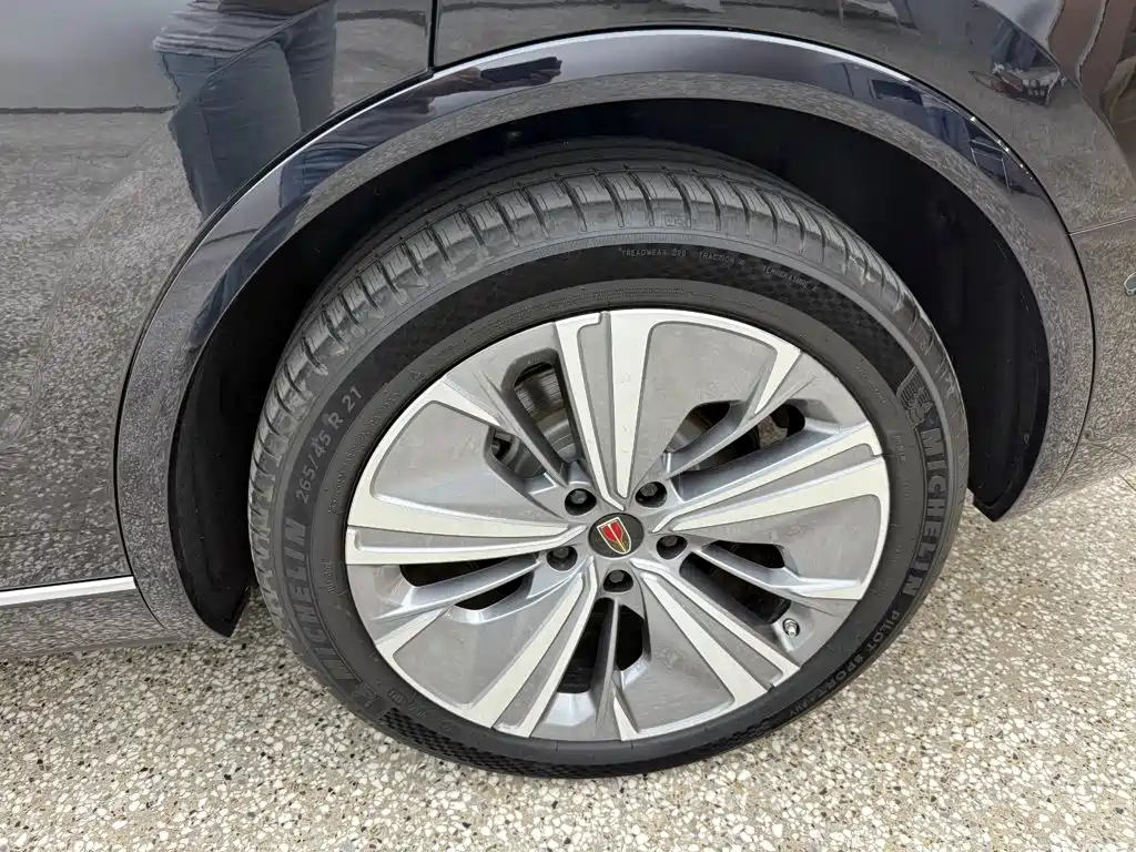 Hongqi Hongqi E-HS9 — миниатюра 14