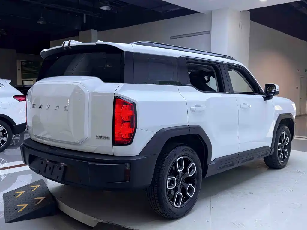 Haval Cool Dog — миниатюра 6