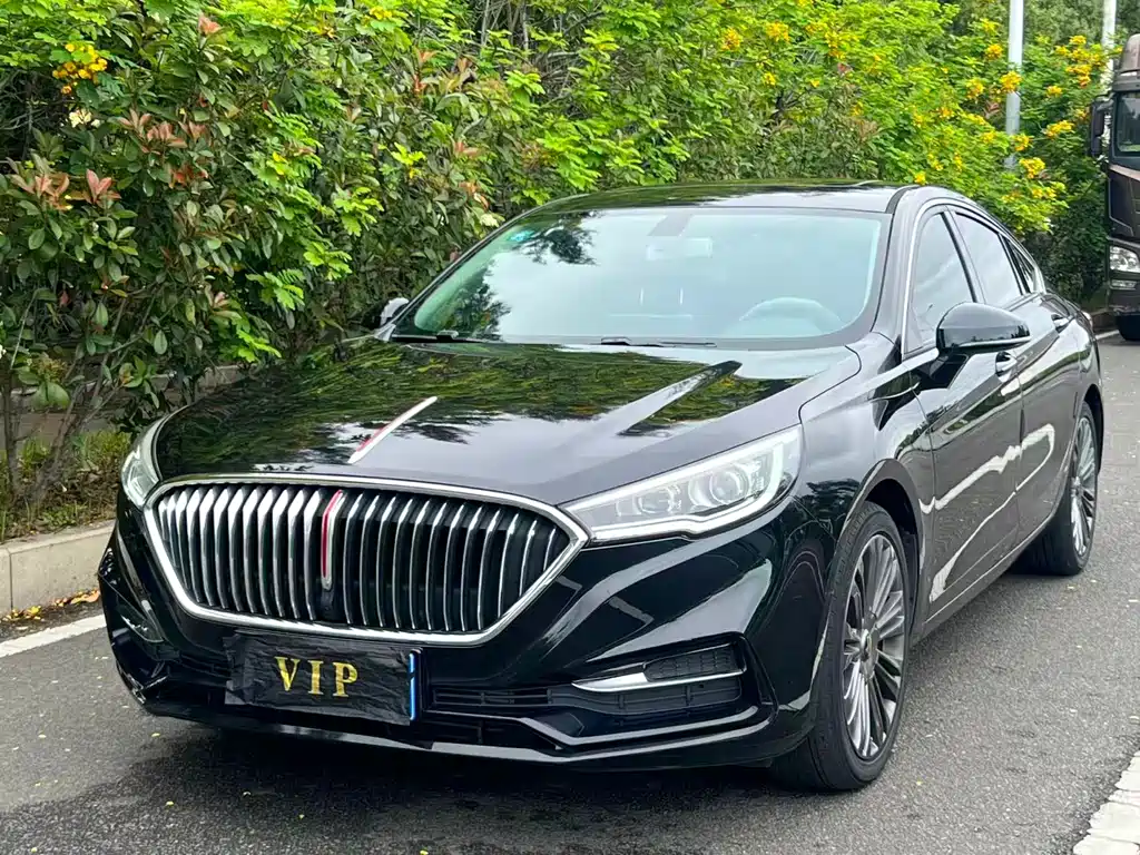 Hongqi Hongqi H5 2021