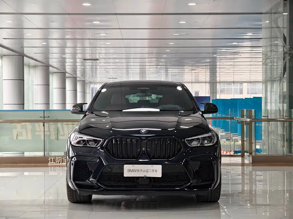 BMW X6 — миниатюра 4