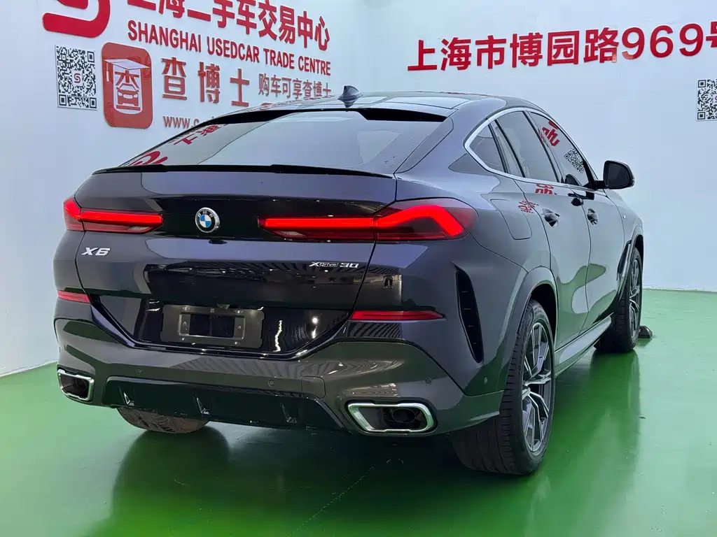 BMW X6 — миниатюра 31