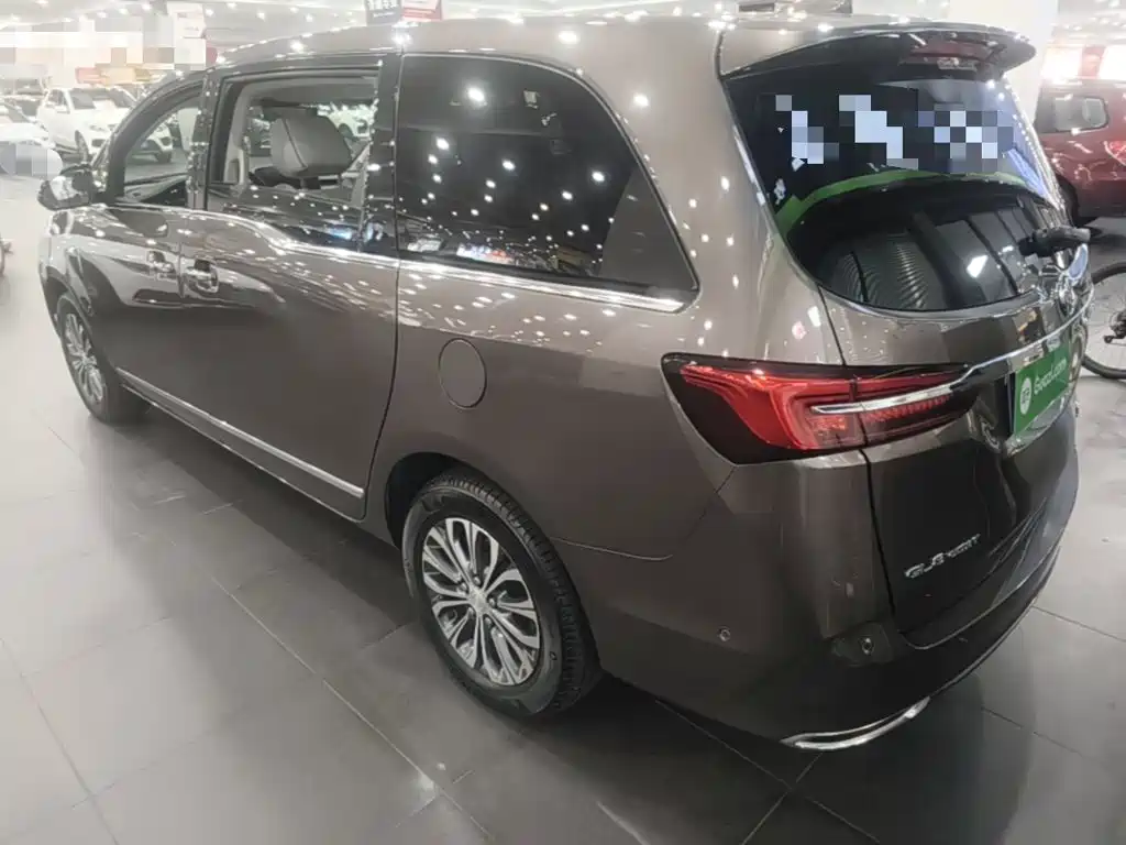 Buick GL8 — миниатюра 5