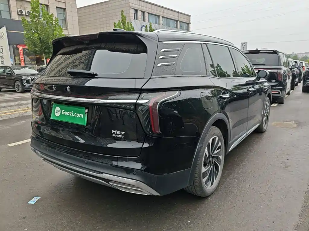 Hongqi Hongqi HS7 PHEV — миниатюра 7