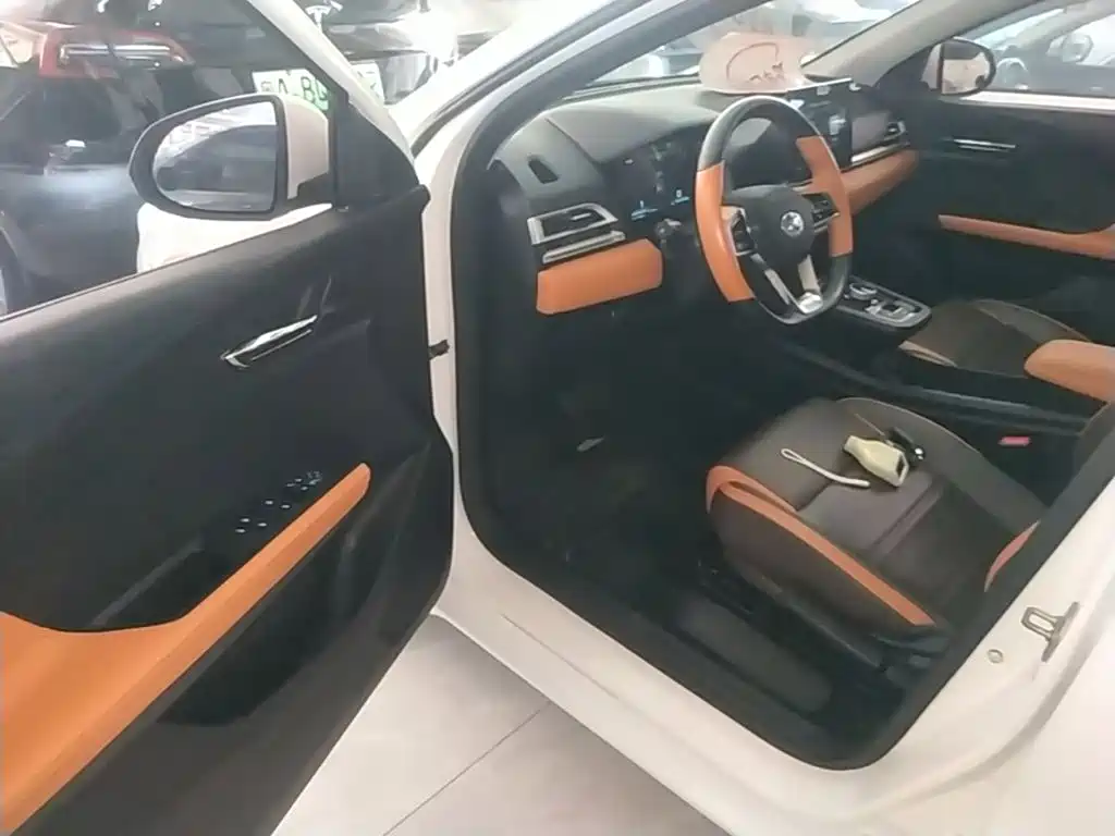 BYD e2 — миниатюра 16