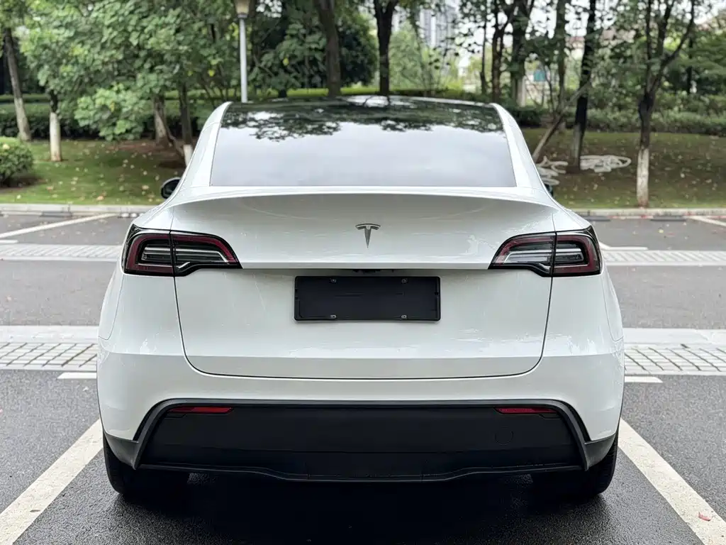 Tesla Model Y — миниатюра 18