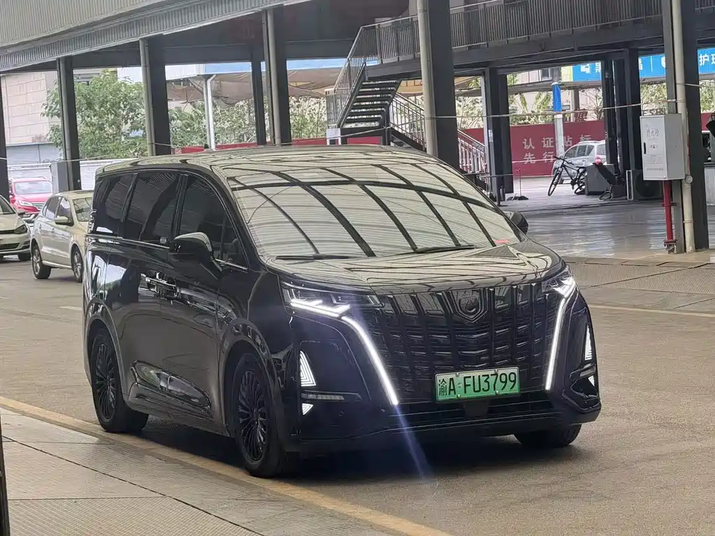 Denza Denza D9 — миниатюра 3