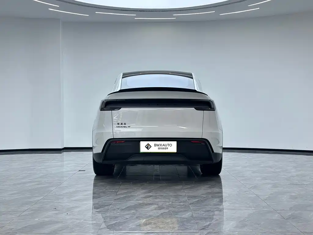 Tesla Model Y L — миниатюра 3