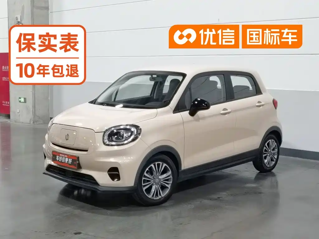 Leapmotor Leapmotor T03